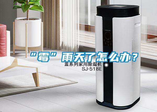 “霉”雨天了怎么辦？