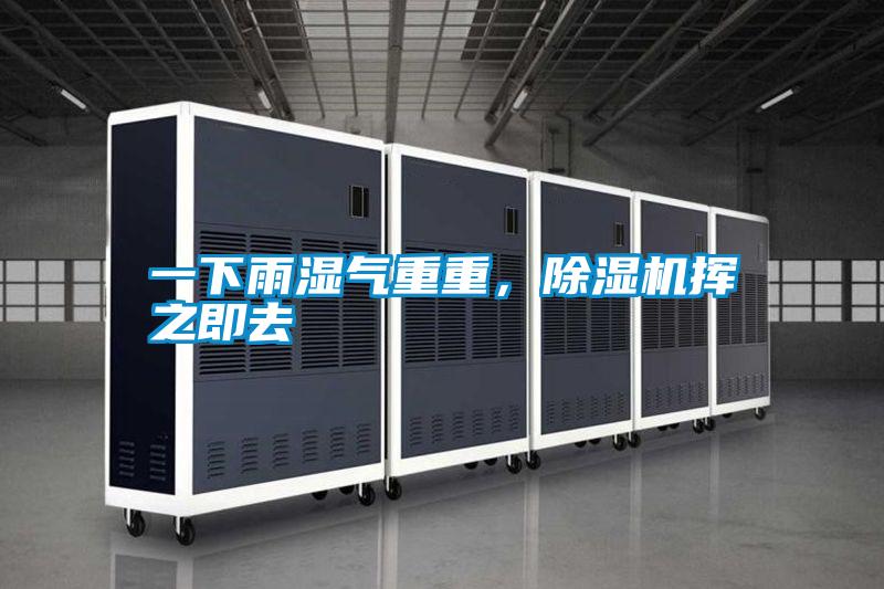 一下雨濕氣重重，除濕機揮之即去