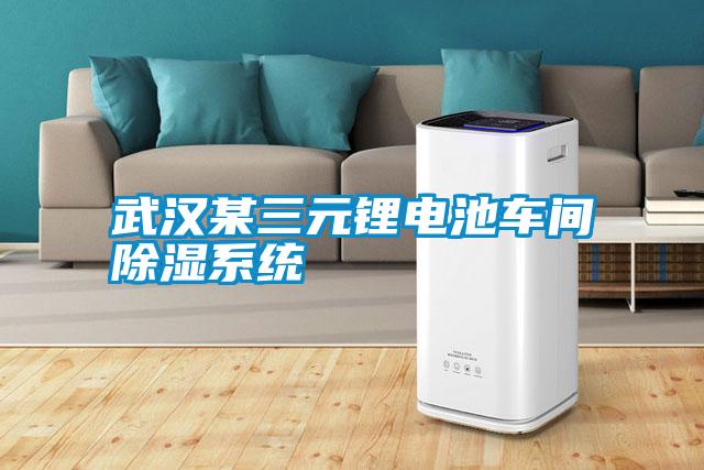 武漢某三元鋰電池車(chē)間除濕系統(tǒng)