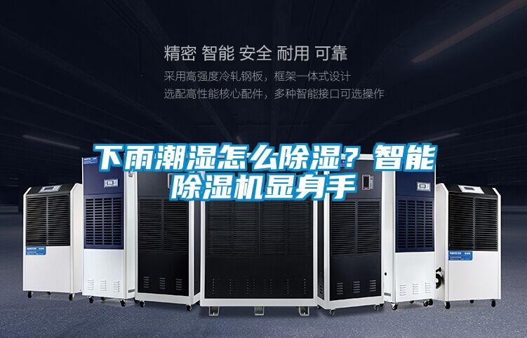 下雨潮濕怎么除濕？智能除濕機顯身手