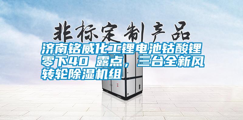 濟(jì)南銘威化工鋰電池鈷酸鋰零下40℃露點(diǎn)，三臺(tái)全新風(fēng)轉(zhuǎn)輪除濕機(jī)組