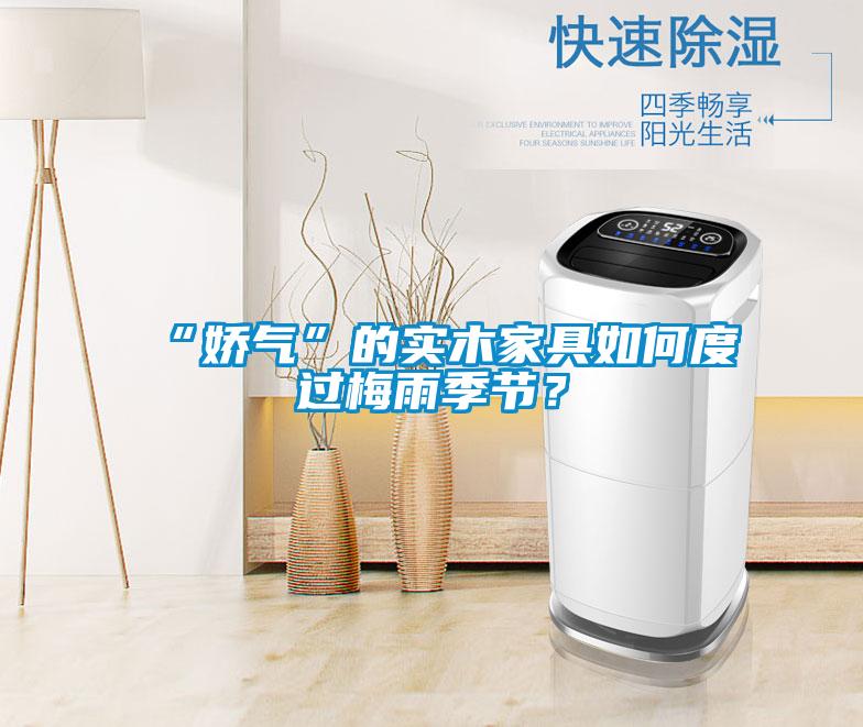 “嬌氣”的實(shí)木家具如何度過梅雨季節(jié)？