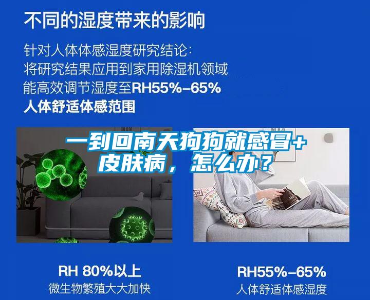一到回南天狗狗就感冒+皮膚病，怎么辦？