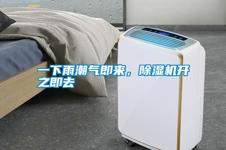 一下雨潮氣即來，除濕機開之即去