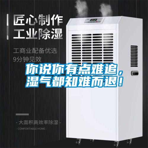 你說你有點難追，濕氣都知難而退！
