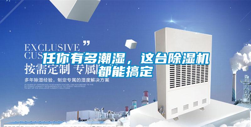 任你有多潮濕，這臺除濕機(jī)都能搞定