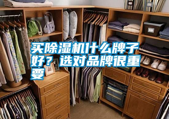 買除濕機什么牌子好？選對品牌很重要
