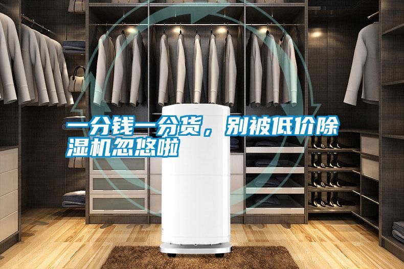 一分錢一分貨，別被低價除濕機忽悠啦