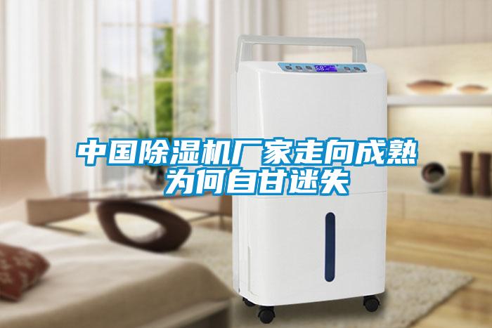 中國除濕機(jī)廠家走向成熟 為何自甘迷失