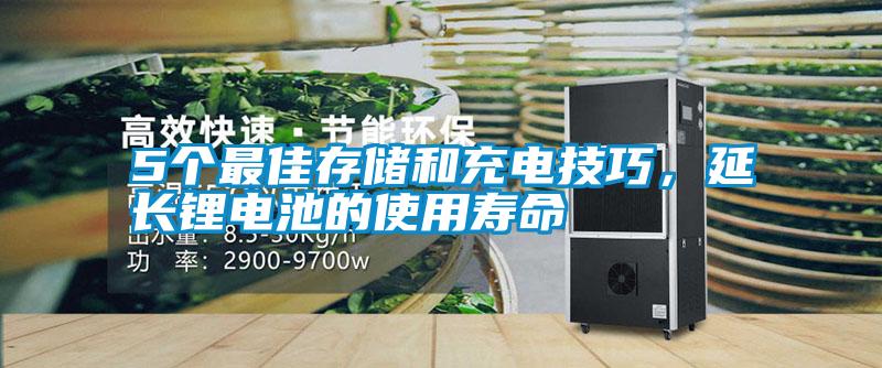 5個最佳存儲和充電技巧，延長鋰電池的使用壽命