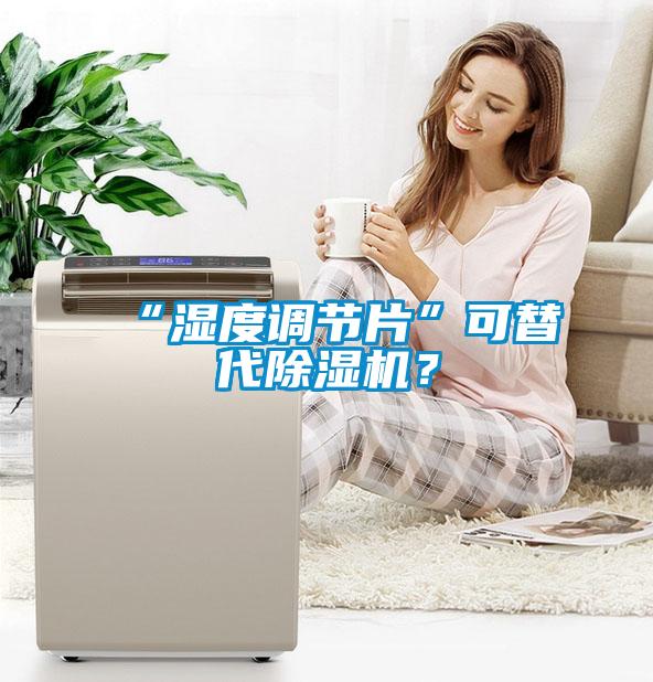 “濕度調(diào)節(jié)片”可替代除濕機？