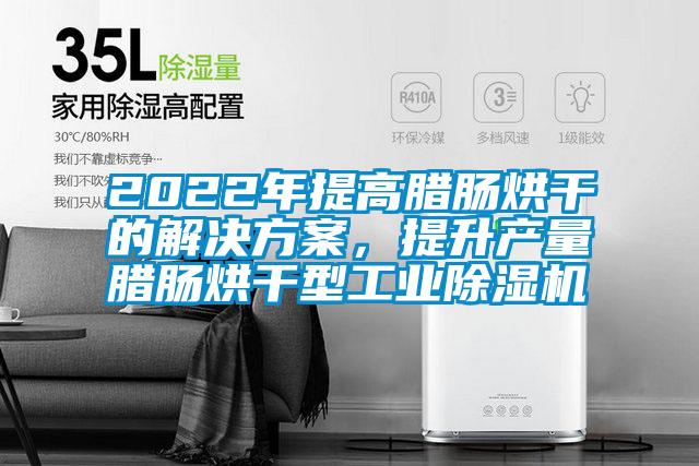 2022年提高臘腸烘干的解決方案，提升產(chǎn)量臘腸烘干型工業(yè)除濕機(jī)