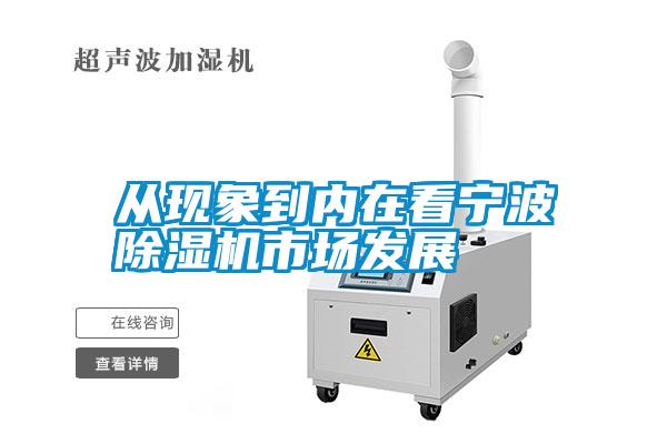 從現(xiàn)象到內在看寧波除濕機市場發(fā)展
