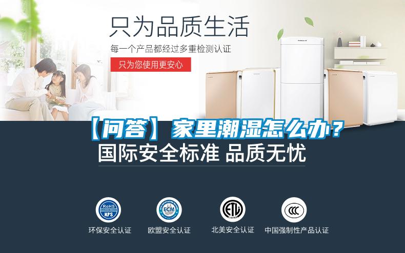 【問答】家里潮濕怎么辦？