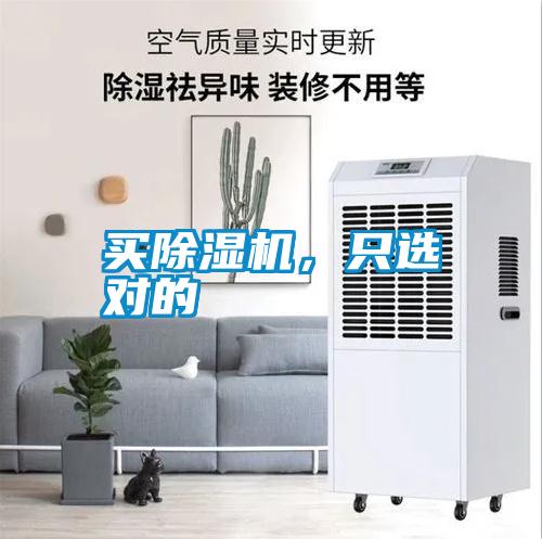 買除濕機，只選對的