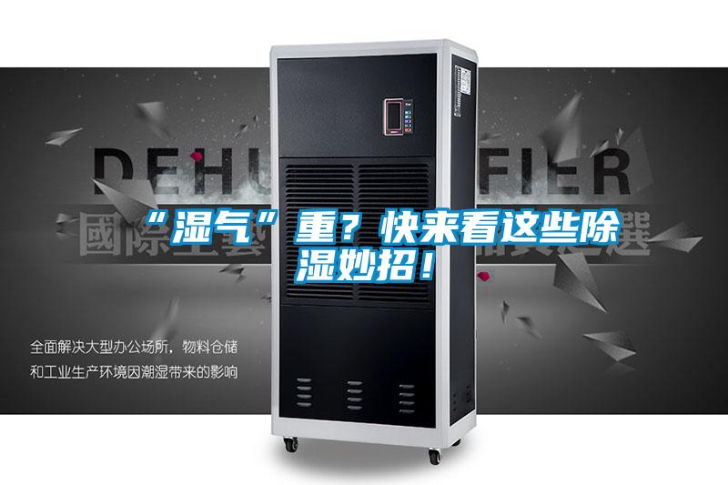 “濕氣”重？快來看這些除濕妙招！