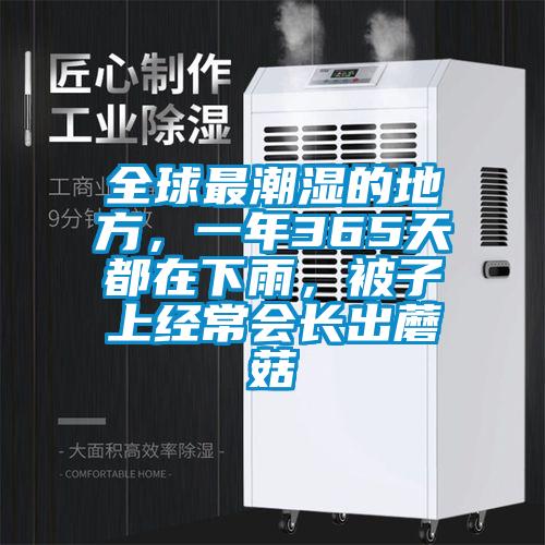 全球最潮濕的地方，一年365天都在下雨，被子上經(jīng)常會(huì)長(zhǎng)出蘑菇