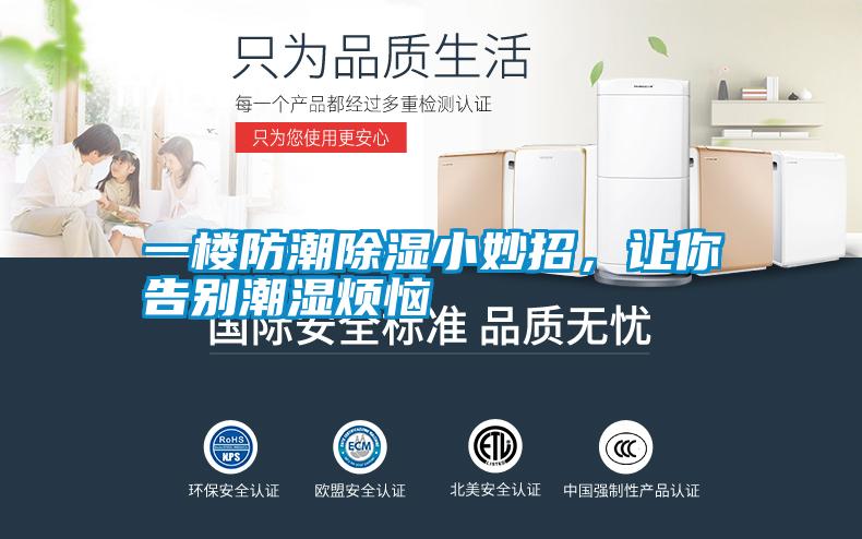 一樓防潮除濕小妙招，讓你告別潮濕煩惱