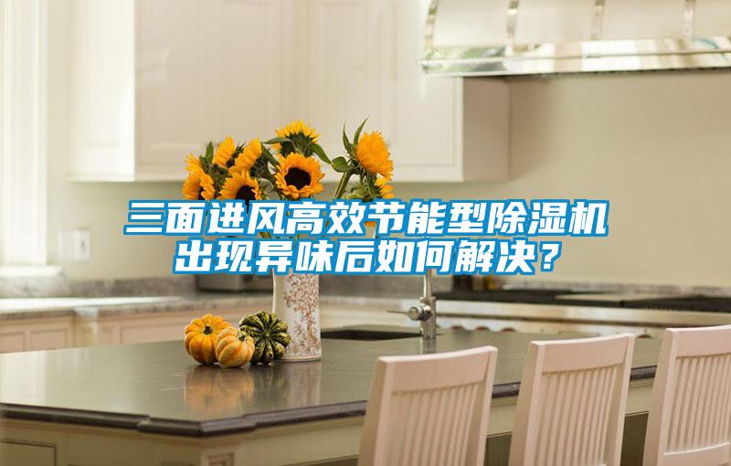 三面進(jìn)風(fēng)高效節(jié)能型除濕機(jī)出現(xiàn)異味后如何解決？