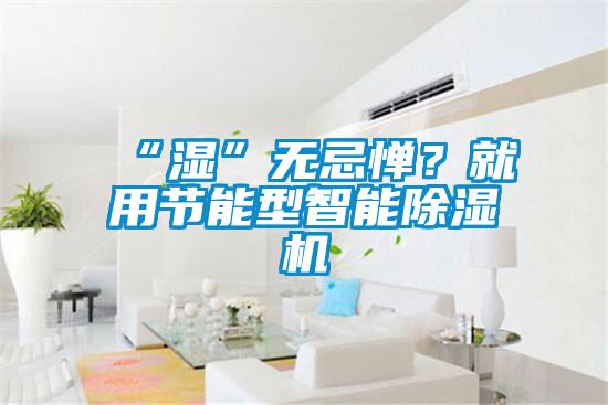 “濕”無忌憚？就用節(jié)能型智能除濕機(jī)