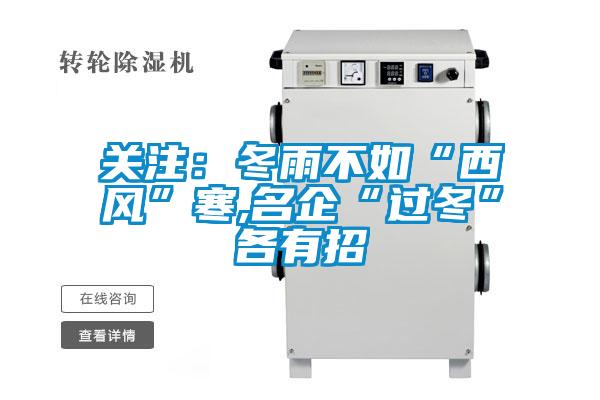 關(guān)注：冬雨不如“西風”寒,名企“過冬”各有招