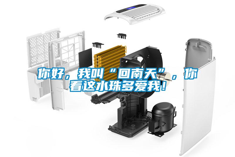 你好，我叫“回南天”，你看這水珠多愛我！