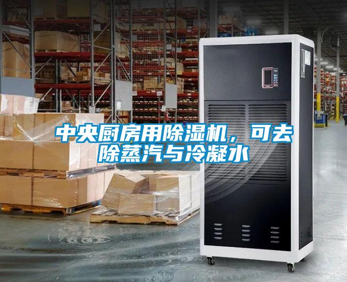 中央廚房用除濕機(jī)，可去除蒸汽與冷凝水
