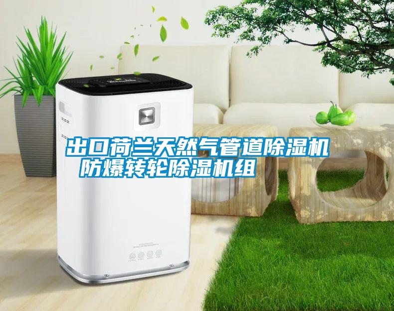 出口荷蘭天然氣管道除濕機 防爆轉(zhuǎn)輪除濕機組