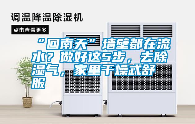 “回南天”墻壁都在流水？做好這5步，去除濕氣，家里干燥忒舒服
