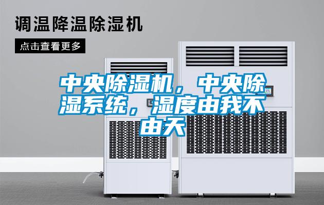 中央除濕機(jī)，中央除濕系統(tǒng)，濕度由我不由天