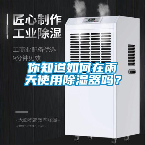 你知道如何在雨天使用除濕器嗎？