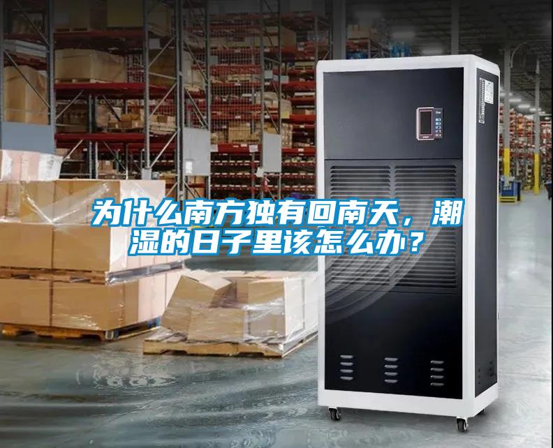 為什么南方獨(dú)有回南天，潮濕的日子里該怎么辦？