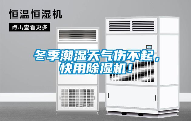 冬季潮濕天氣傷不起，快用除濕機(jī)！