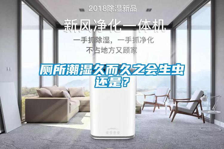 廁所潮濕久而久之會(huì)生蟲(chóng)還是？