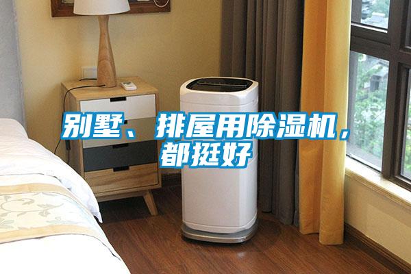 別墅、排屋用除濕機，都挺好