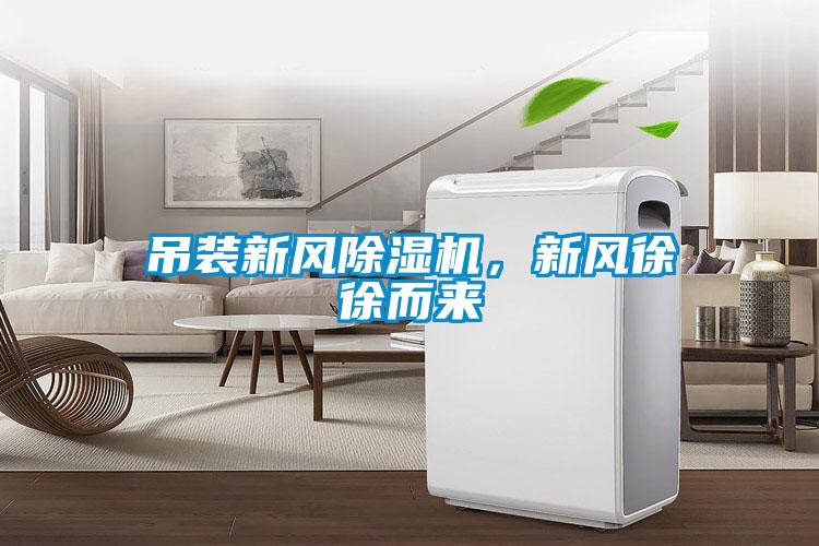 吊裝新風除濕機，新風徐徐而來