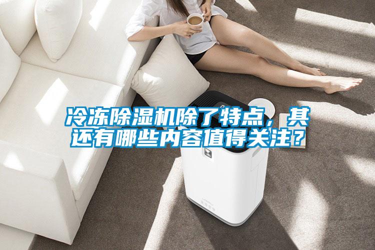 冷凍除濕機(jī)除了特點(diǎn)，其還有哪些內(nèi)容值得關(guān)注？