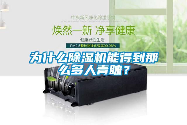 為什么除濕機能得到那么多人青睞？