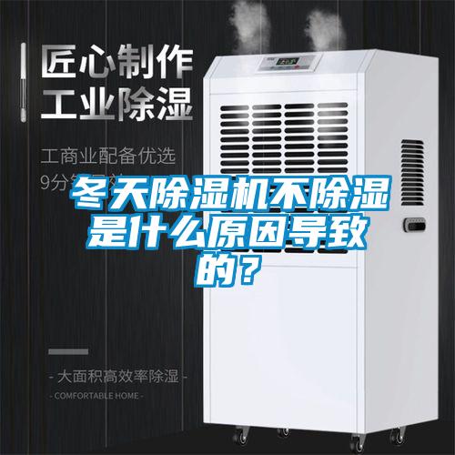 冬天除濕機(jī)不除濕是什么原因?qū)е碌模?></div>
								<div   id=