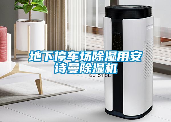 地下停車場(chǎng)除濕用安詩(shī)曼除濕機(jī)