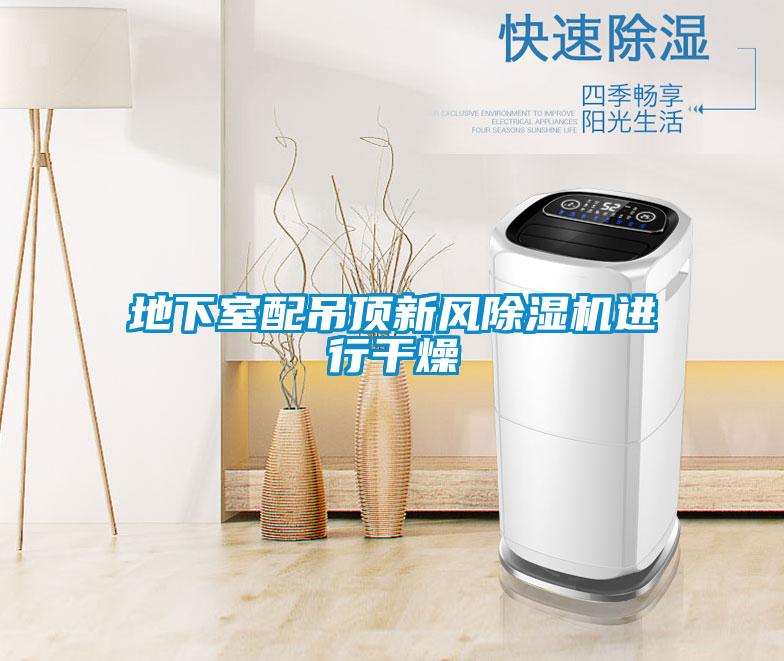 地下室配吊頂新風(fēng)除濕機進行干燥
