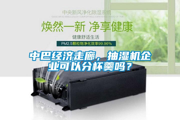 中巴經(jīng)濟走廊，抽濕機企業(yè)可以分杯羹嗎？