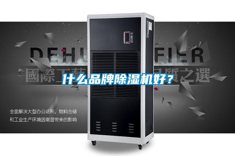 什么品牌除濕機(jī)好？