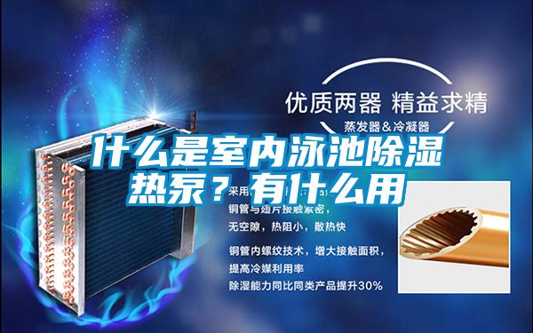 什么是室內(nèi)泳池除濕熱泵？有什么用