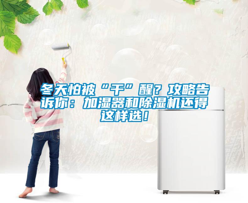 冬天怕被“干”醒？攻略告訴你：加濕器和除濕機還得這樣選！