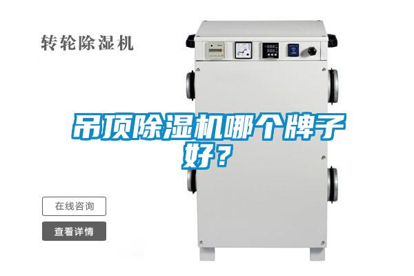 吊頂除濕機(jī)哪個牌子好？