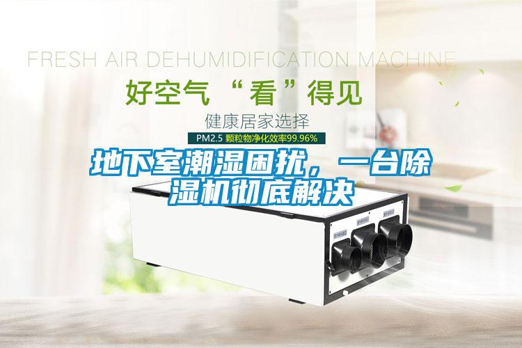 地下室潮濕困擾，一臺(tái)除濕機(jī)徹底解決
