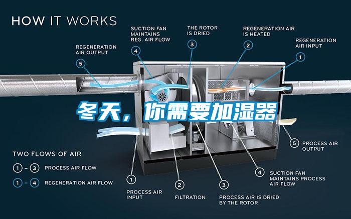 冬天,你需要加濕器