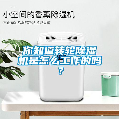 你知道轉(zhuǎn)輪除濕機(jī)是怎么工作的嗎？