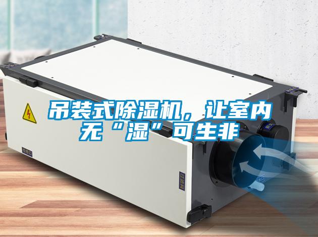 吊裝式除濕機(jī)，讓室內(nèi)無(wú)“濕”可生非